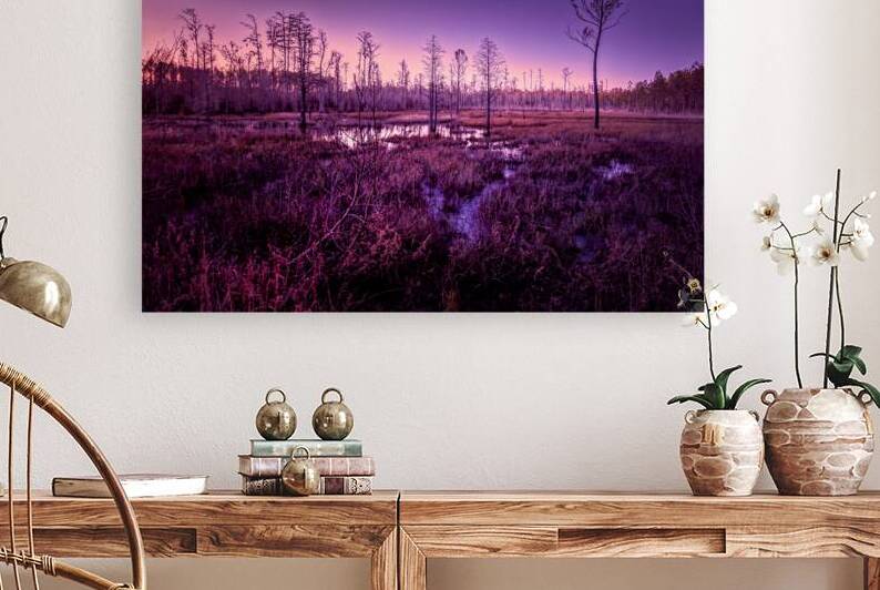 Winter Sunset Marsh Glow by Norma Brandsberg Photography