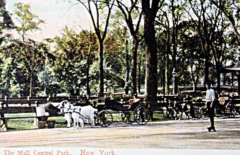 Vintage postcard of people in Central park in 1905 by Patricia Hofmeester PHotography
