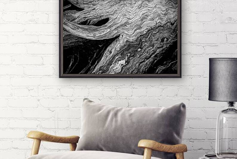 Abstract  Bald Cypress Tree Root Patterns in Black and White by Norma Brandsberg Photography