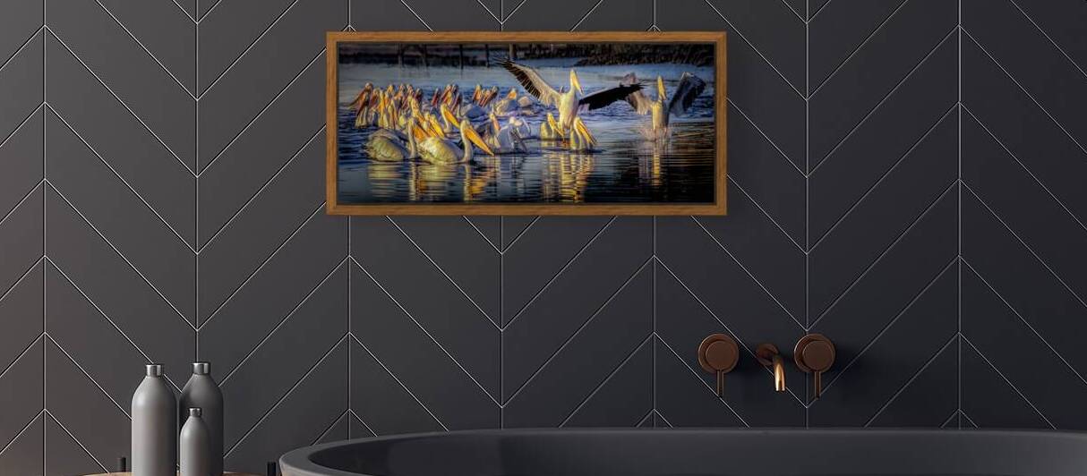 American White Pelican Flock Panorama by Norma Brandsberg Photography