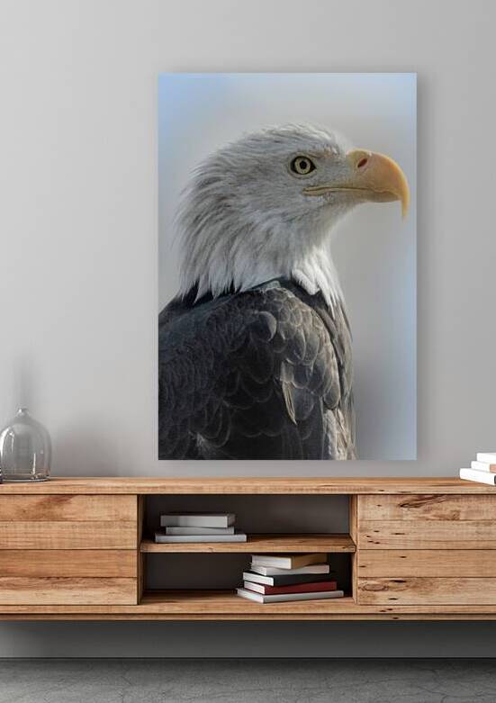 Oh Say Can You See by B Zolle