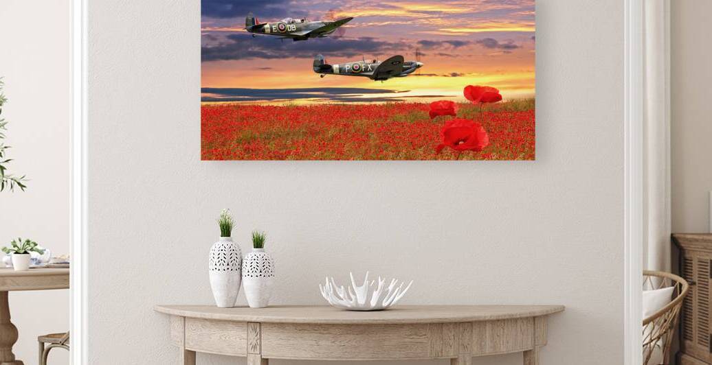 We Will Remember Them - Spitfires Over Poppy Field Pano by Gill Billington