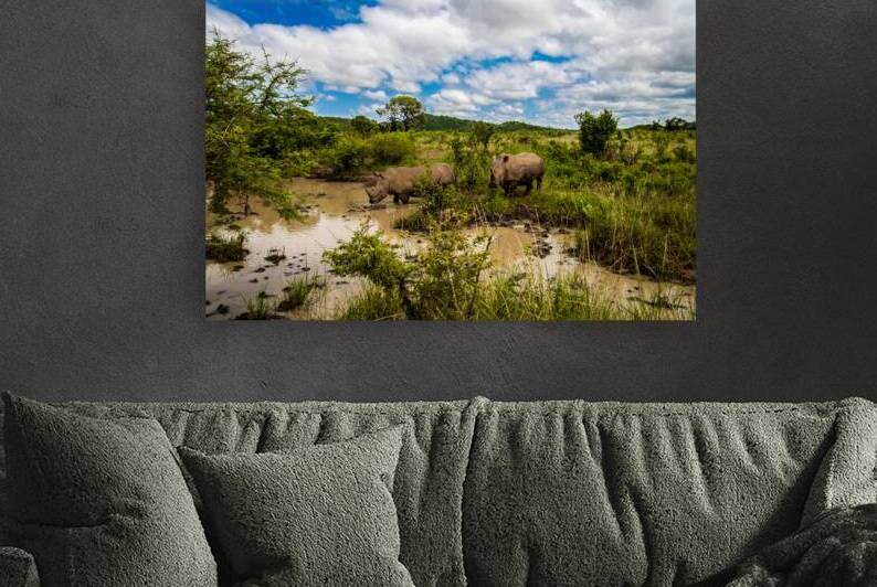 Rhinos at the Hluhluwe–Imfolozi Park by Adel B Korkor