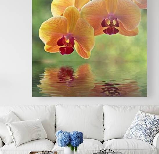 Oriental Spa by Gill Billington