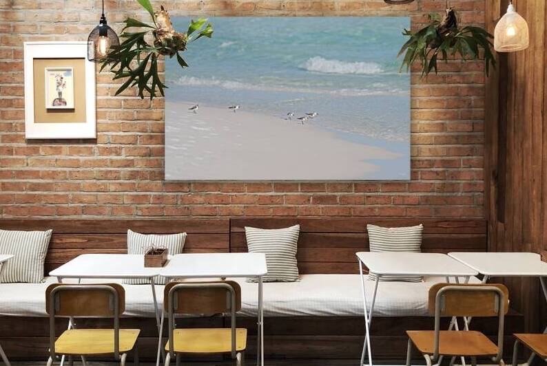 Five Sanderlings Destin Florida by Jennifer White