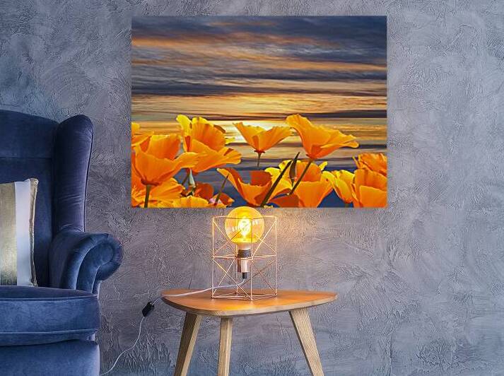 California Dreaming 12x9 P3078221 by Gill Billington