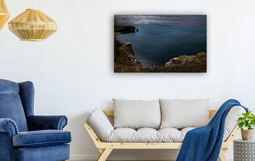 Etretat Cliffside Wildflowers by Norma Brandsberg Photography