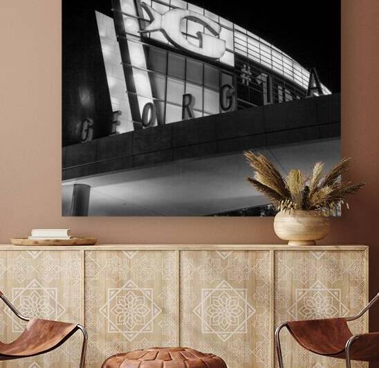 georgia aquarium  square 3121 Georgia 13k by Black And White