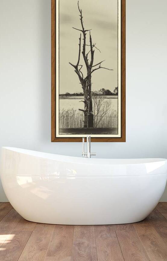 Reaching for the Sky by Norma Brandsberg Photography