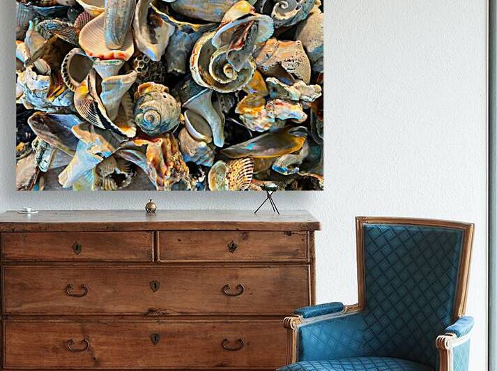 Beachcombing Shells Hodgepodge by Bill Swartwout Photography