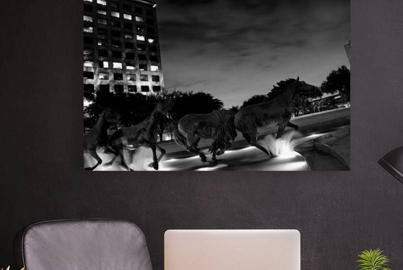 mustangs of las colinas at night  horizontal 770 by Black And White