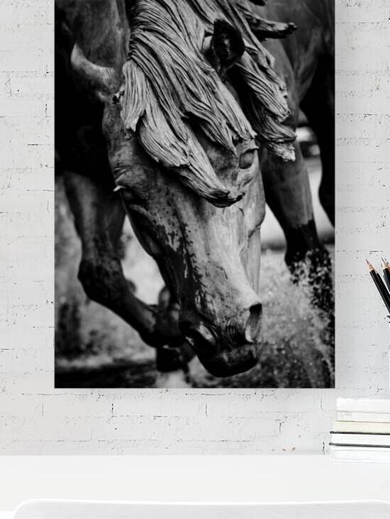 mustangs of las colinas  vertical 2122 Stallion 1 by Black And White