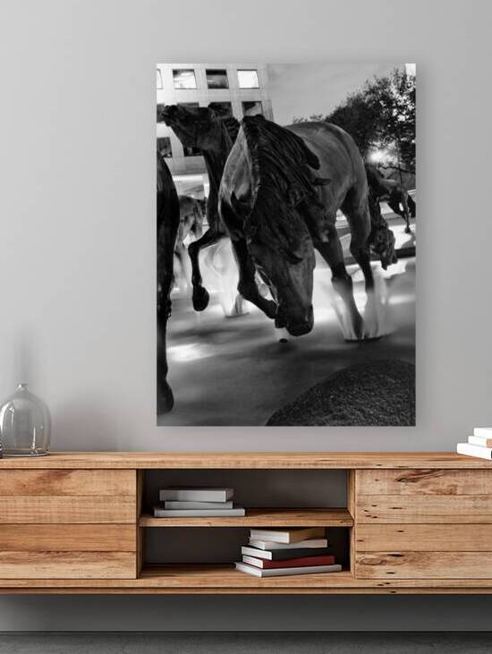 mustangs of las colinas at night  vertical 785 Mu by Black And White