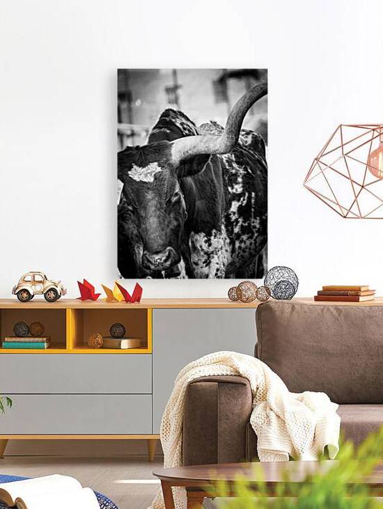 long horn of a texas longhorn  vertical 2129 Horn by Black And White