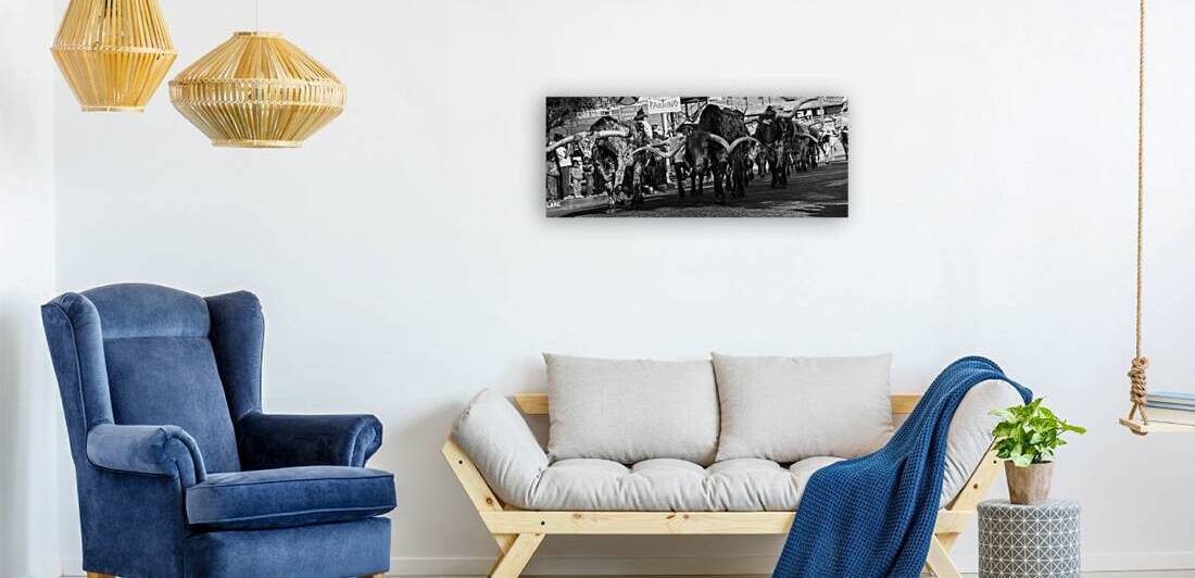 stockyard cattle drive  panoramic 803 Drive 13k.j by Black And White