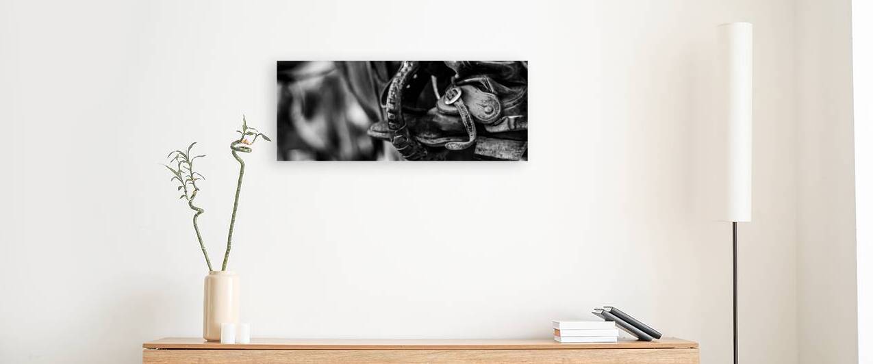 texas cowboy boot in stirrup  panoramic 818 Stirr by Black And White