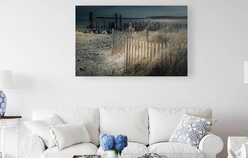 Virginia Eastern Shoreline Fence by Norma Brandsberg Photography