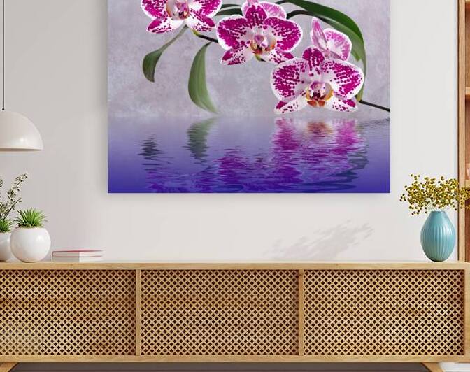 Deep Pink Orchid Reflections by Gill Billington