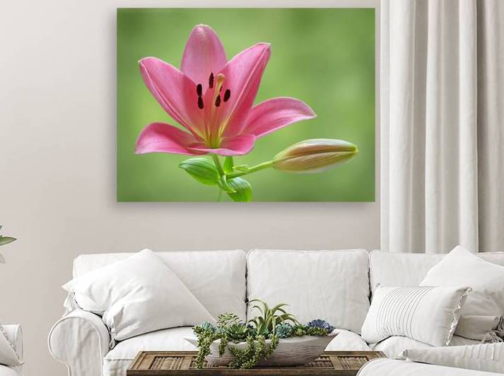 Promise - Pink Lily With Bud by Gill Billington