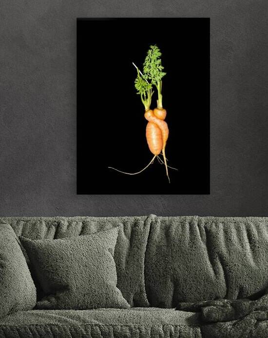 Carrot Love by Adel B Korkor