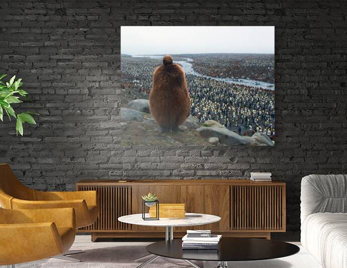 King of the Hill by Adel B Korkor