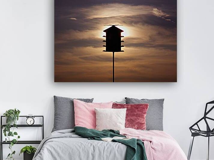 Birdhouse by Adel B Korkor