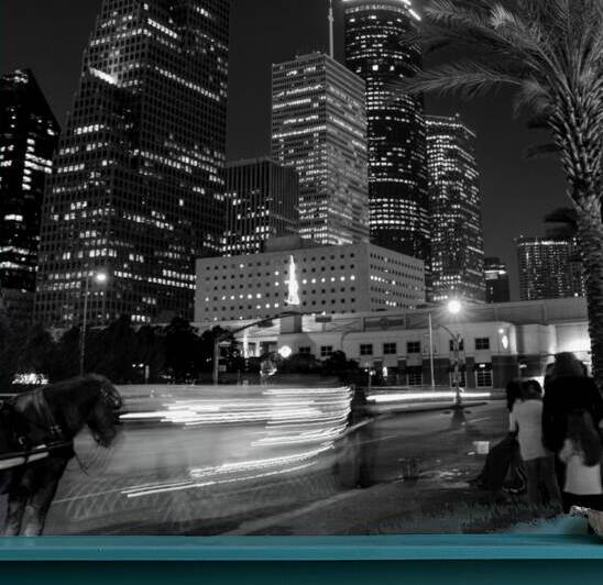 horse carriage downtown houston skyline  square 9 by Black And White