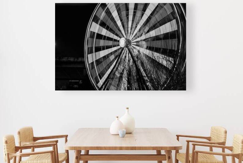 houston aquarium ferris wheel  horizontal 926 Fwe by Black And White