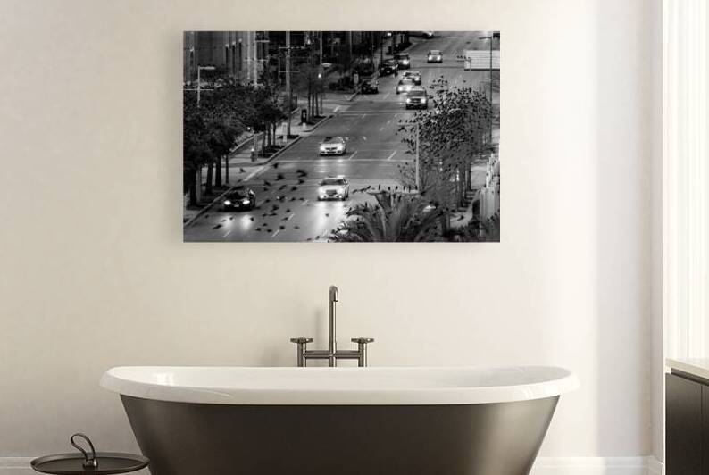 birds fly over la branch street  horizontal 919 B by Black And White