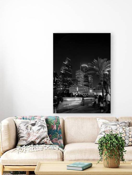 horse carriage downtown houston skyline  vertical by Black And White