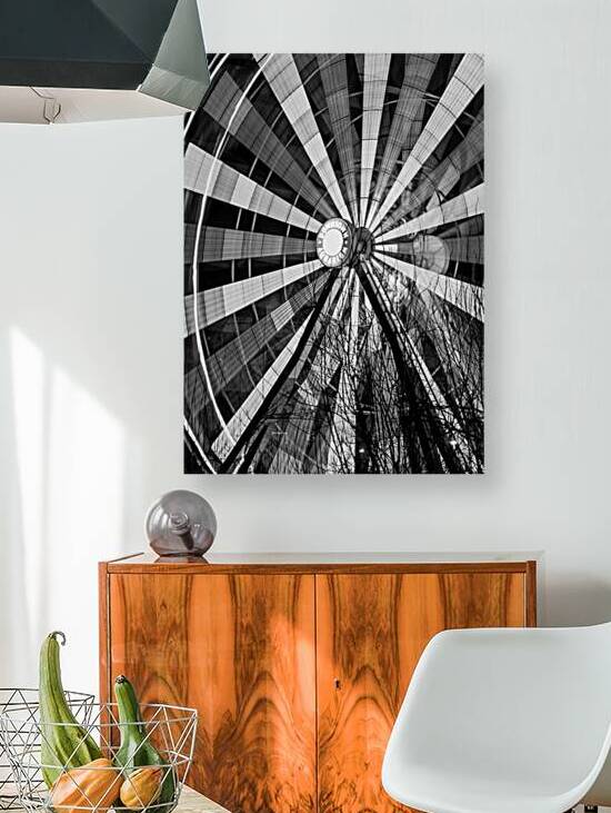 houston aquarium ferris wheel  vertical 926 Fweel by Black And White