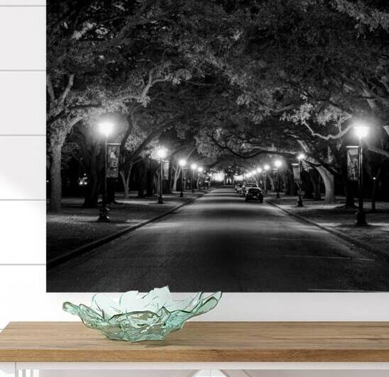 rice university at night  square 938 Rice 13k by Black And White