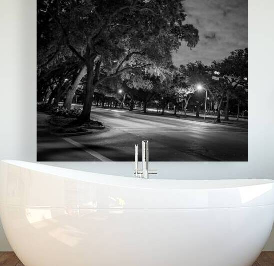 rice university main and fanin intersection  squa by Black And White