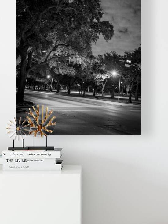 rice university main and fanin intersection  vert by Black And White