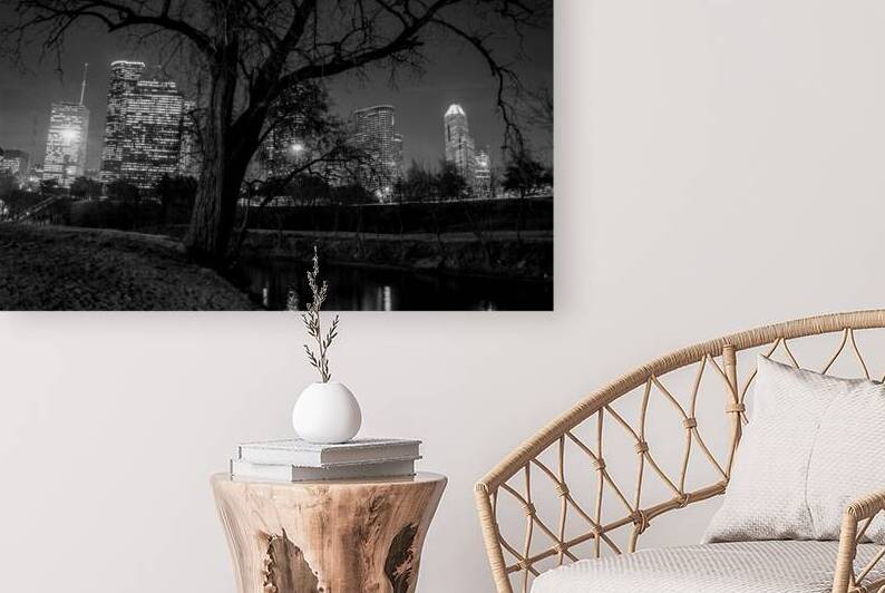 houston skyline in buffalo bayou  horizontal 934 by Black And White