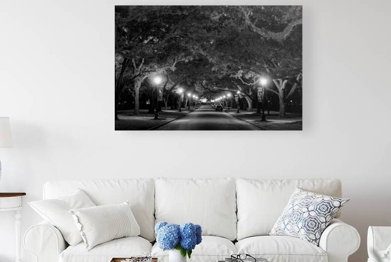 rice university at night  horizontal 938 Rice 13k by Black And White