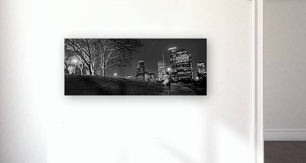 houston cityscape buffalo bayou  panoramic 941 Ru by Black And White