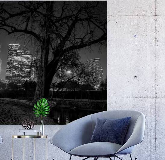 houston skyline in buffalo bayou  square 934 Oak by Black And White