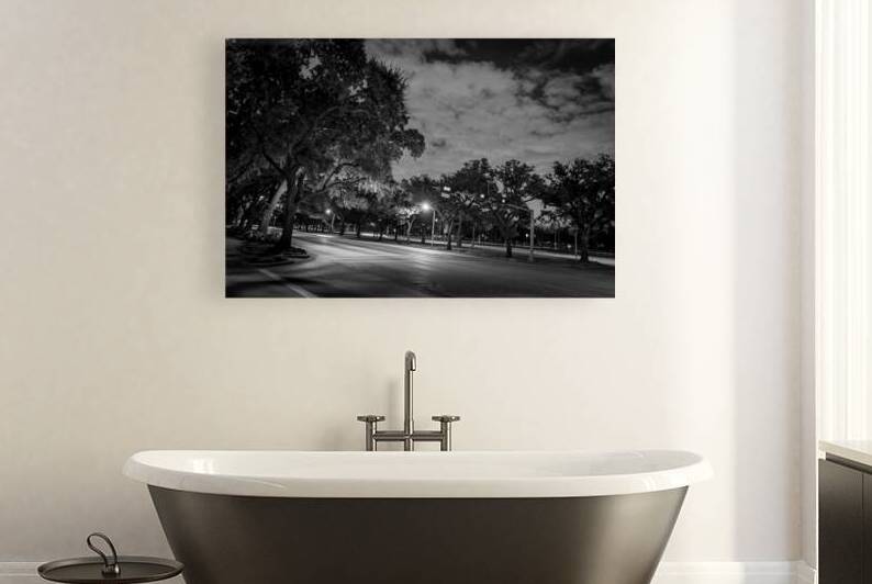 rice university main and fanin intersection  hori by Black And White