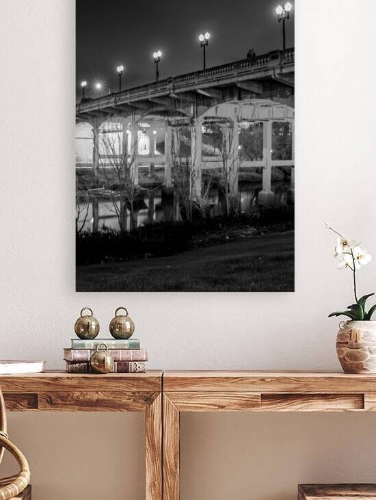 sabine bridge elanor tinsley park  vertical 3282 by Black And White