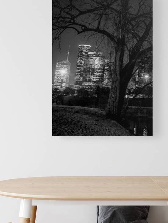 houston skyline in buffalo bayou  vertical 934 Oa by Black And White