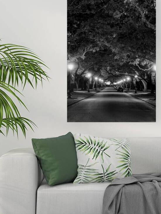 rice university at night  vertical 938 Rice 13k.j by Black And White