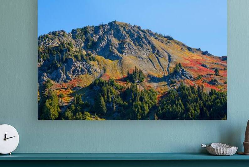 Fall Colors in the Olympics by Brad Millett Photography