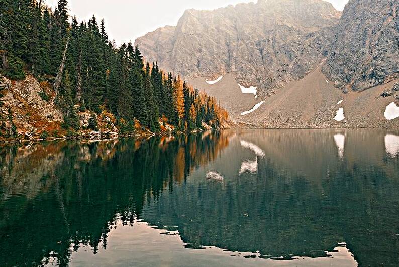 Larches in the Mirror by Brad Millett Photography