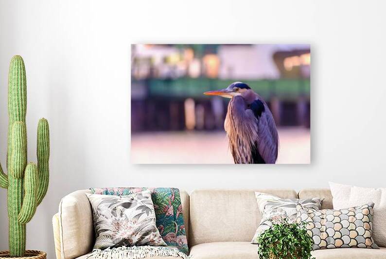 Blue Heron in the Morning by Brad Millett Photography