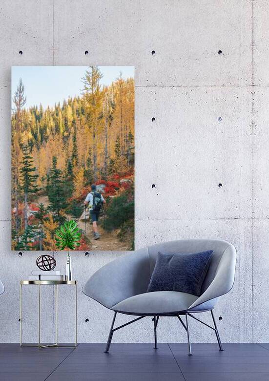 Into the Larches by Brad Millett Photography