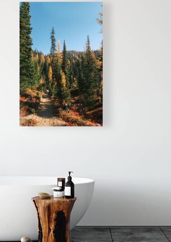 Larch Trail by Brad Millett Photography