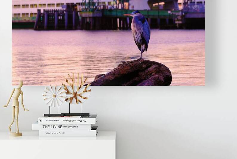 Blue Heron with Kingston Ferry by Brad Millett Photography