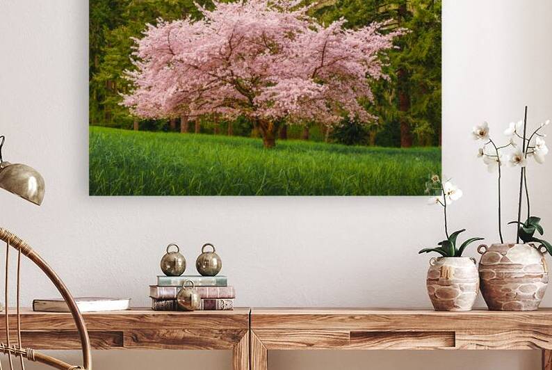 Cherry Blossoms by Brad Millett Photography