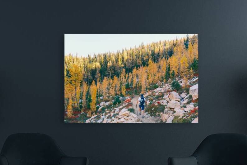 Larch Adventure by Brad Millett Photography